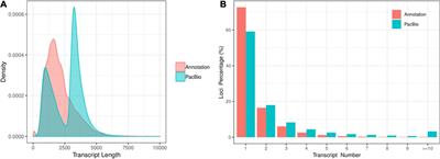 Novel Insights Into Genetic Responses for Waterlogging Stress in Two Local Wheat Cultivars in Yangtze River Basin